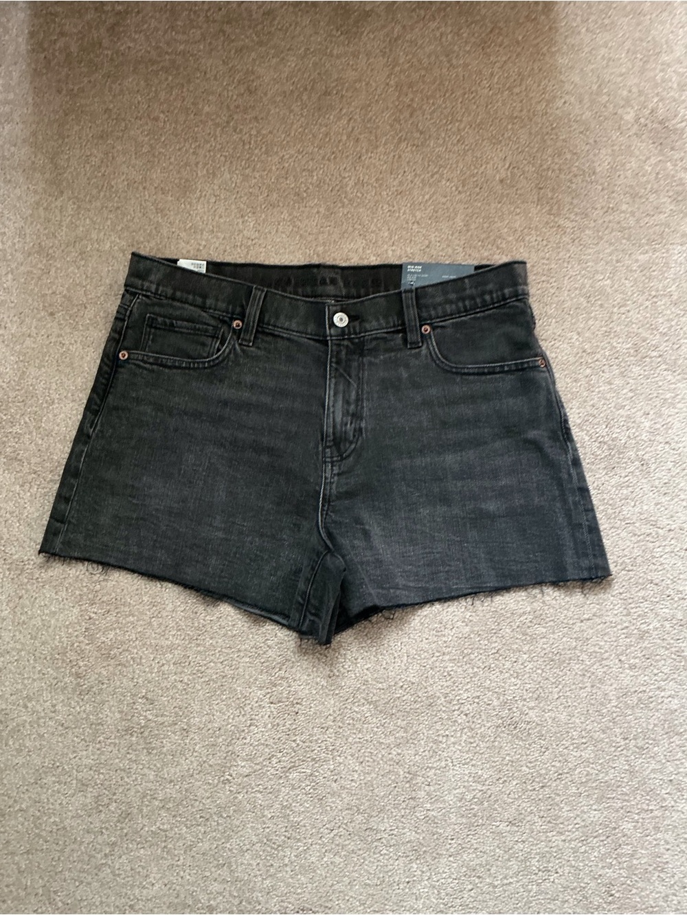 AMERICAN EAGLE A-LINE FIT SHORT- RAW HEM- SZ 10- NEW WITH TAGS